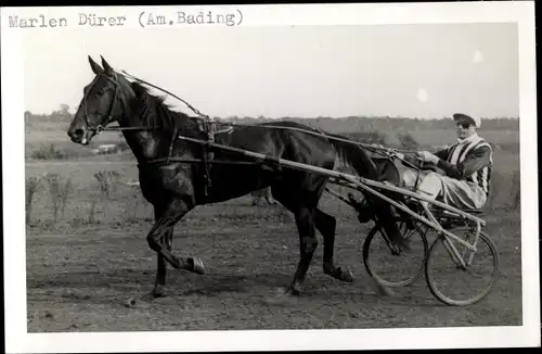 Ak Rennpferd Marlen Dürer, Jockey Am. Bading