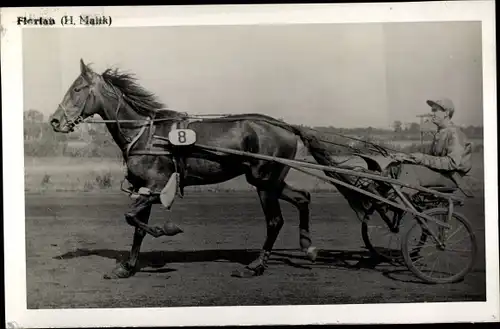 Ak Rennpferd Florian, Jockey H. Maltk