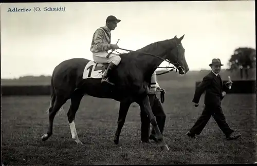 Ak Rennpferd Adlerfee, Jockey O. Schmidt