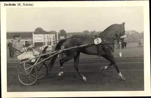 Ak Rennpferd Jockele, Jockey K. Schön