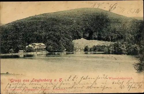 Ak Bad Lauterberg im Harz, Wiesenbekerteich, Uferpartie