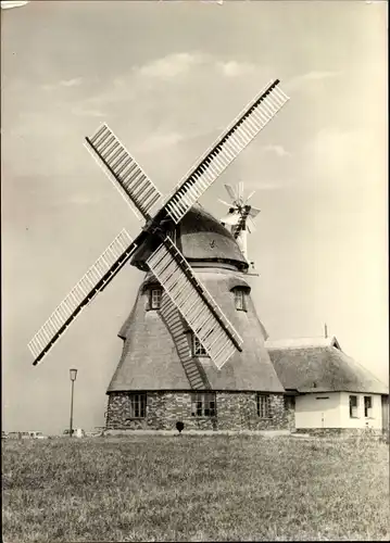 Ak Groß Stieten im Kreis Wismar, VEG Tierzucht, Windmühle, Gaststätte Mecklenburger Mühle