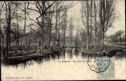 Ak Le Vésinet Yvelines, un coin du bois