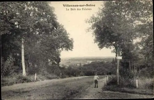 Ak Villennes sur Seine Yvelines, Le Bois des Falaises, garcon