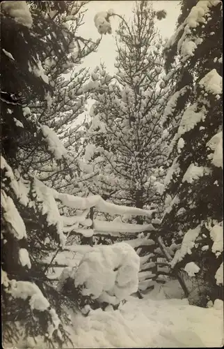 Foto Ak Holzminden an der Weser, Winterwald, Teilansicht