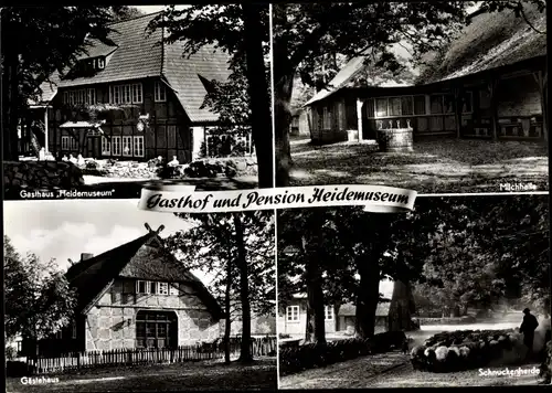 Ak Wilsede Bispingen im Heidekreis, Gasthof und Pension Heidemuseum