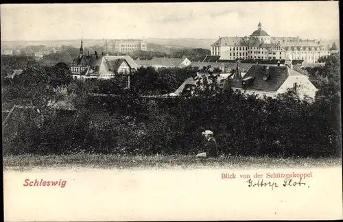 Ak Schleswig in Schleswig Holstein, Blick von der Schützenkoppel