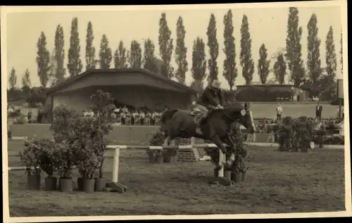 Foto Ak Springreiten, Springpferd überwindet ein Hindernis