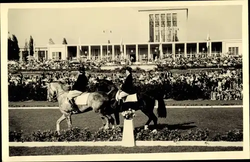 Foto Ak Dressurpferde auf dem Reitplatz