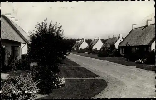 Ak Emmen Drenthe Niederlande, Boskamp