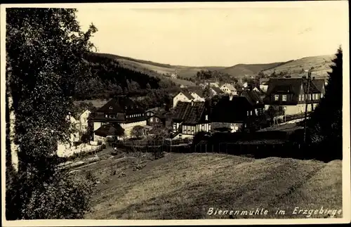 Ak Rechenberg Bienenmühle Erzgebirge, Panorama