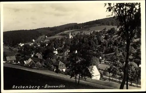 Ak Rechenberg Bienenmühle Erzgebirge, Panorama