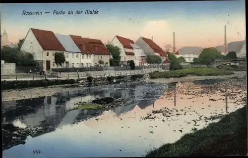 Ak Roßwein in Sachsen, Partie an der Mulde