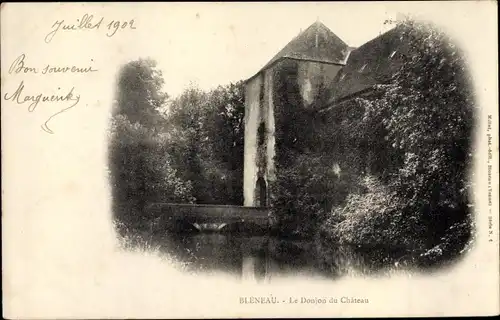 Ak Bleneau Auxerre Yonne, Le Donjon du Château