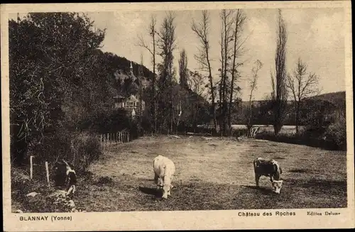 Ak Blannay, Yonne, Château des Roches