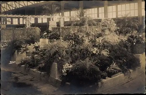 Foto Ak Hamburg Altona, Gartenbau Ausstellung 1925, Blumenhalle