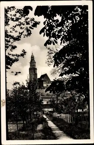 Ak Kamenz Sachsen, Hauptkirche mit Stiftgarten