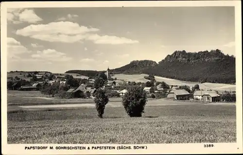 Ak Gohrisch Sächsische Schweiz, Panorama, Papststein und Gohrischstein