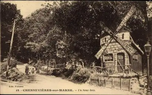 Ak Chennevières-sur-Marne Val de Marne, Un Sous bois