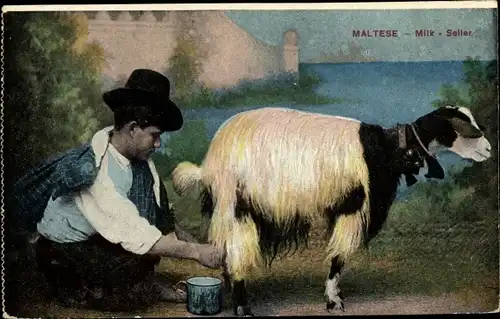 Ak Malta, Milk seller, Mann melkt eine Ziege, Tracht