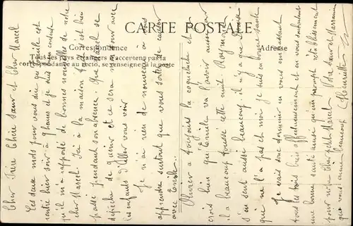 Ak Le Retour du Troupeau, Schafherde, Rinder