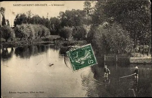 Ak Saint-Laurent-des-Eaux Loir et Cher, L'Abreuvoir