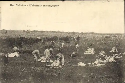 Ak Dar Caid Ito Marokko, L'Abattoir en campagne, Schlachter