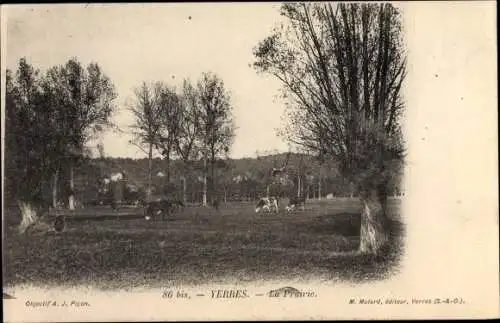 Ak Yerres Essonne, La Prairie