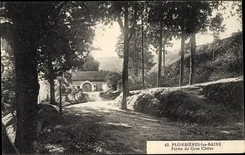Ak Plombières les Bains Lothringen Vosges, Ferme du Gros Chene