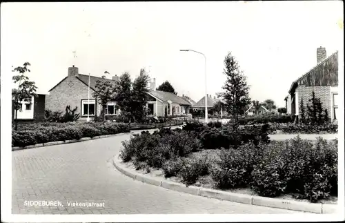 Ak Siddeburen Groningen, Viskenijstraat