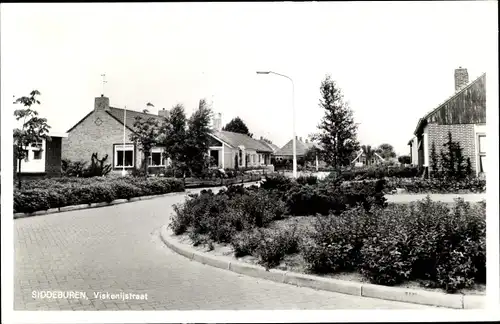 Ak Siddeburen Groningen, Viskenijstraat