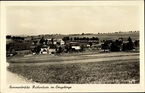 Ak Falkenhain Altenberg im Osterzgebirge, Panorama vom Ort