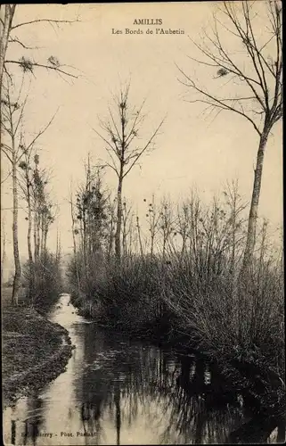 Ak Amillis Seine et Marne, Les Bords de l'Aubetin