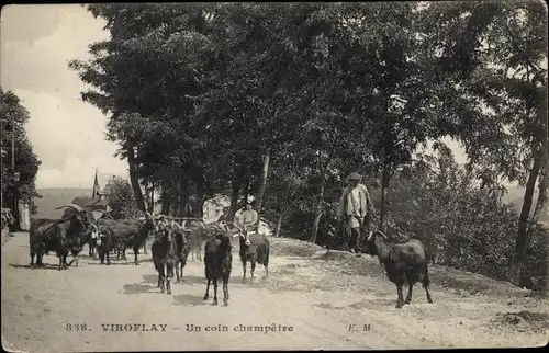 Ak Viroflay Yvelines, Un coin champetre, Ziege