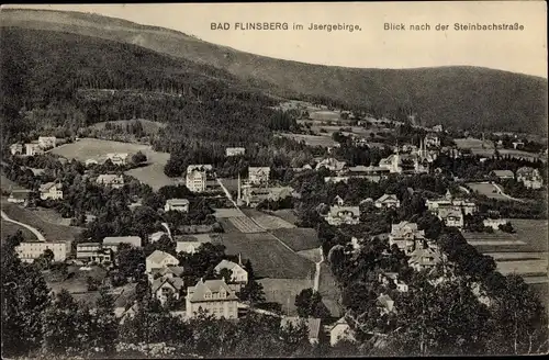 Ak Świeradów Zdrój Bad Flinsberg Schlesien, Ort, Blick zur Steinbachstraße