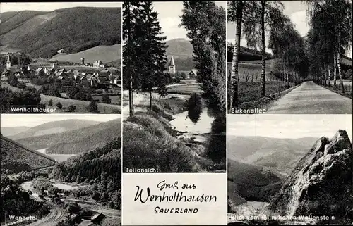 Ak Wenholthausen Eslohe im Sauerland, Gesamtansicht, Wallenstein, Birkenallee