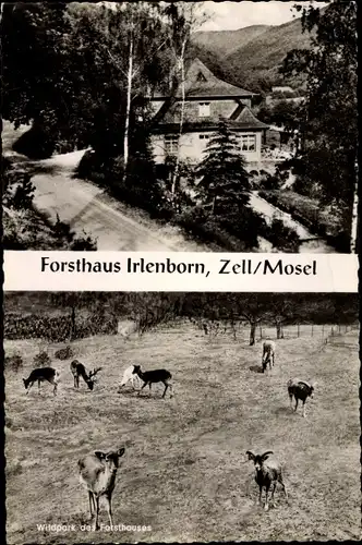 Ak Zell Mosel Rheinland Pfalz, Forsthaus Irlenborn, Wildpark, Rehe