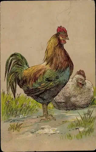 Präge Litho Hahn und weißes Huhn