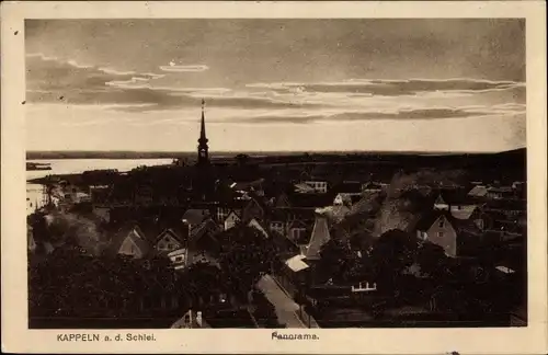 Ak Kappeln an der Schlei, Panorama