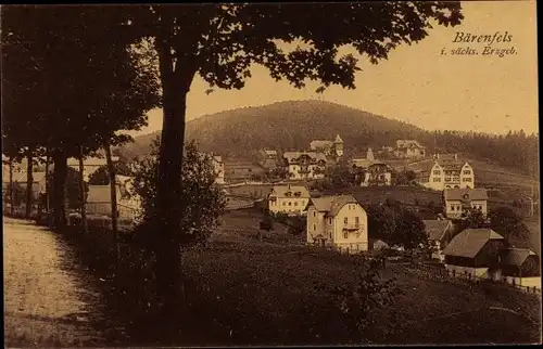 Ak Bärenfels Altenberg im Erzgebirge, Panorama vom Ort