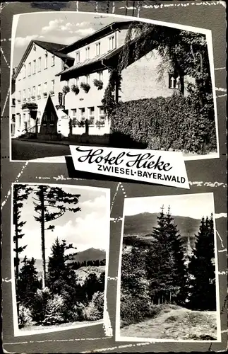 Ak Zwiesel im Bayerischen Wald, Hotel Hieke, Wald