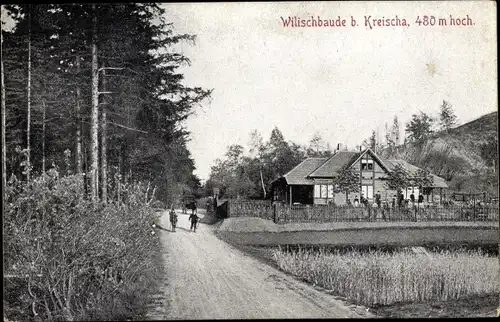 Ak Kreischa bei Dresden, Wilischbaude, Waldpartie