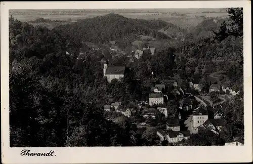 Ak Tharandt im Erzgebirge, Panorama