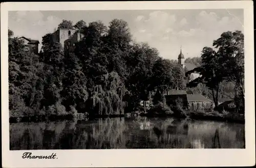 Ak Tharandt im Erzgebirge, Uferpartie