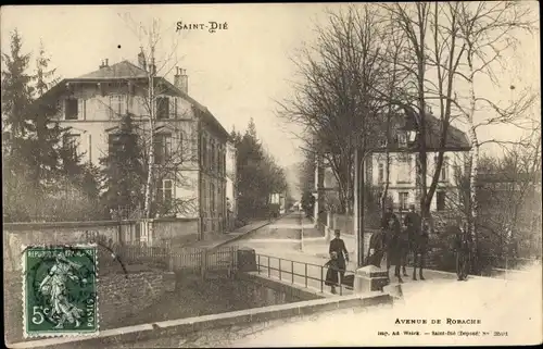 Ak Saint Die Lothringen Vosges, Avenue de Robache