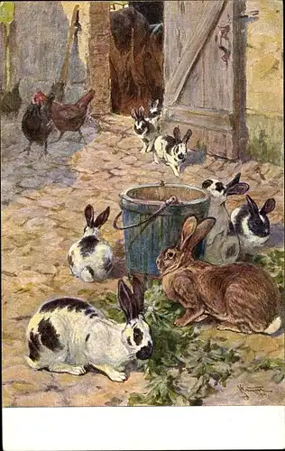 Künstler Ak Meinhold, Kaninchen, Hasen, Bauernhof