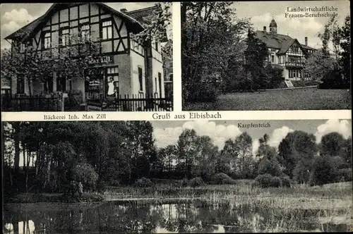 Ak Elbisbach Frohburg in Sachsen, Landwirtschaftliche Frauenberufsschule, Karpfenteich,Bäckerei Zill