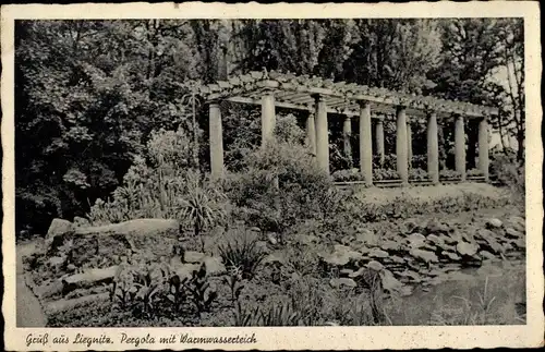 Ak Legnica Liegnitz Schlesien, Pergola mit Warmwasserteich