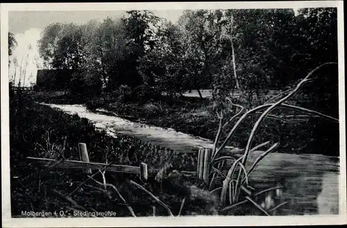 Ak Stedingsmühle Molbergen Oldenburg, Partie am Fluss, Wald, Panorama