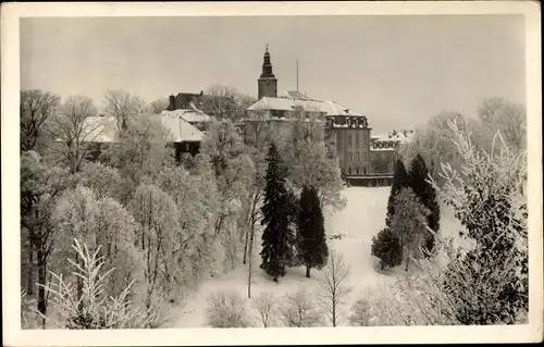 Ak Birstein in Hessen, Vogelsberg, Teilansicht im Winter